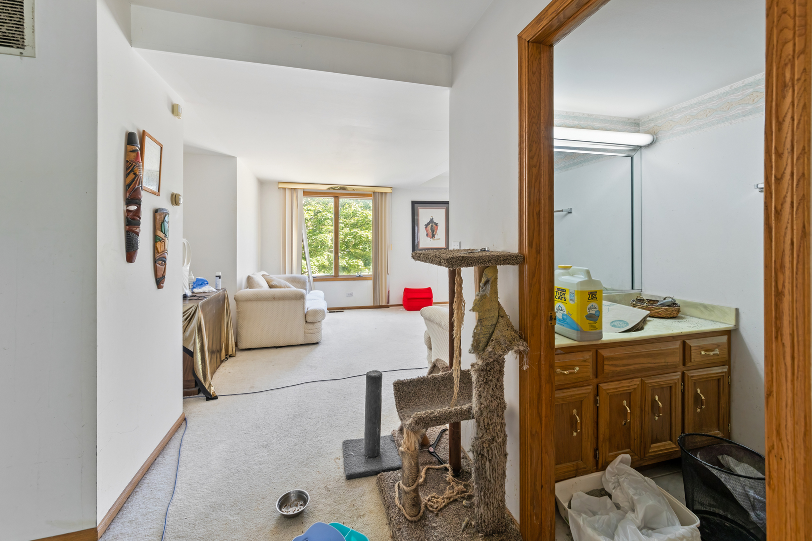 8146 South Prairie Park Place Chicago IL 60619