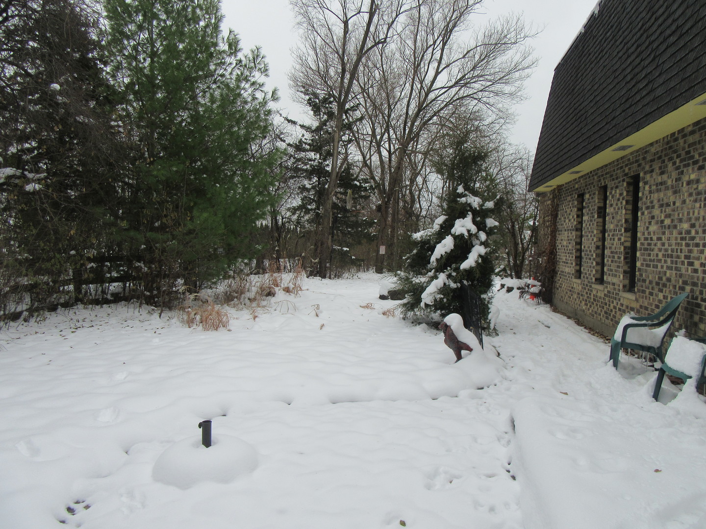 740 North Junior Terrace Elmhurst IL 60126