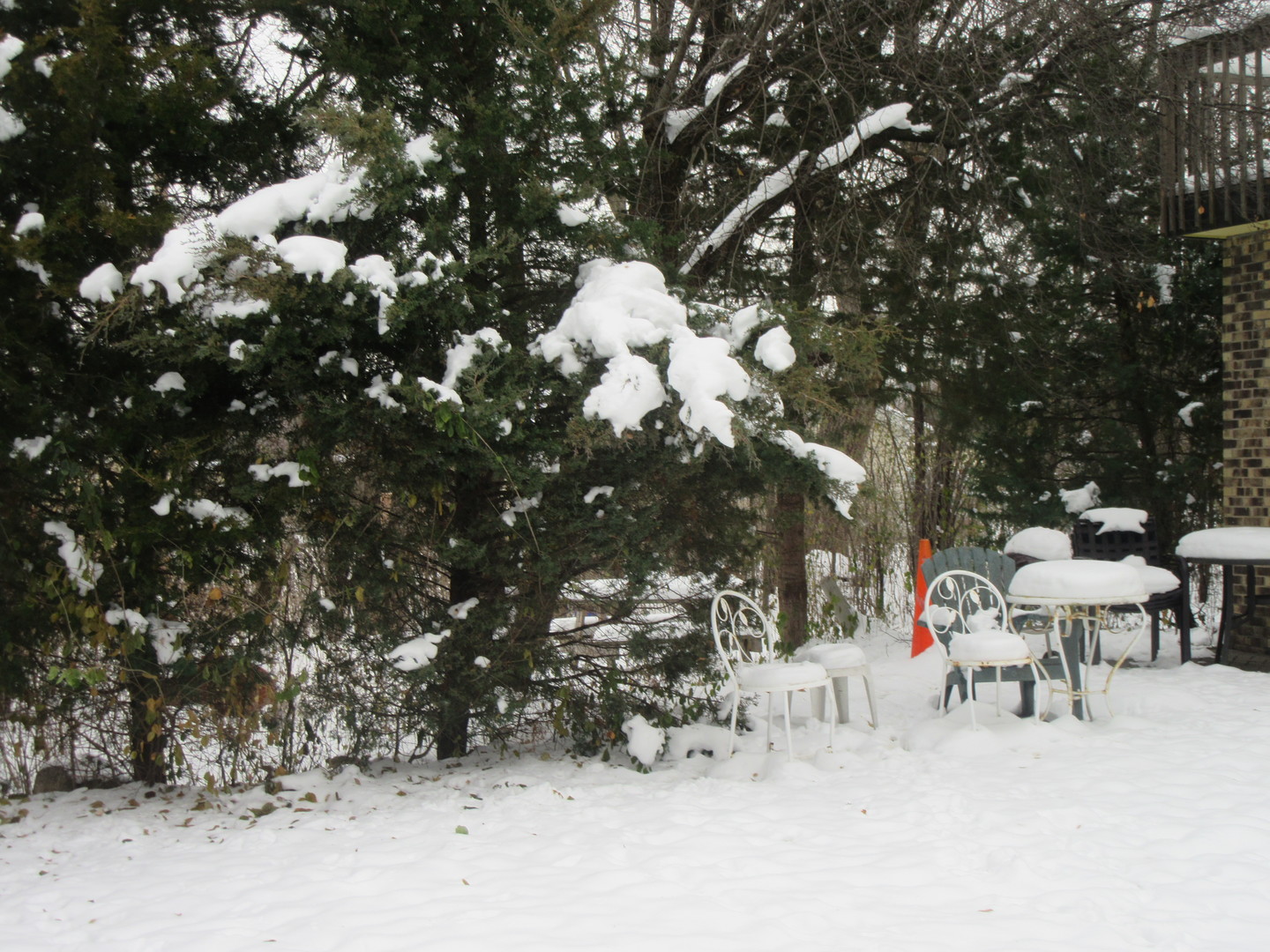 740 North Junior Terrace Elmhurst IL 60126