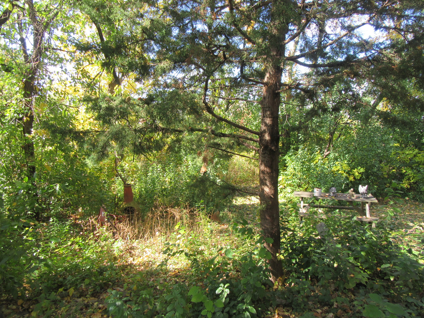 740 North Junior Terrace Elmhurst IL 60126