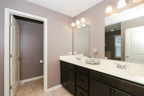 1110 Waterfront Lane Pingree Grove IL 60140