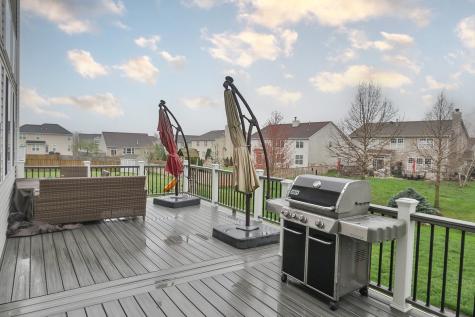 1110 Waterfront Lane Pingree Grove IL 60140