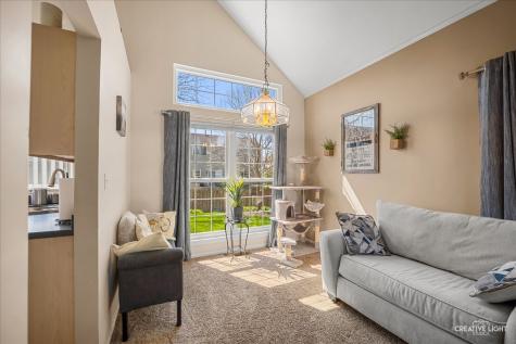 12 Middlefield Court Lake In The Hills IL 60156
