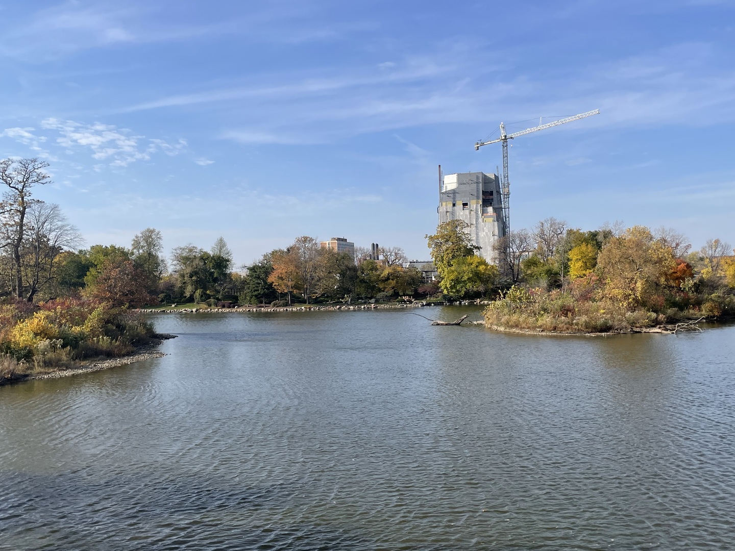 4730 South Greenwood Avenue Chicago IL 60615