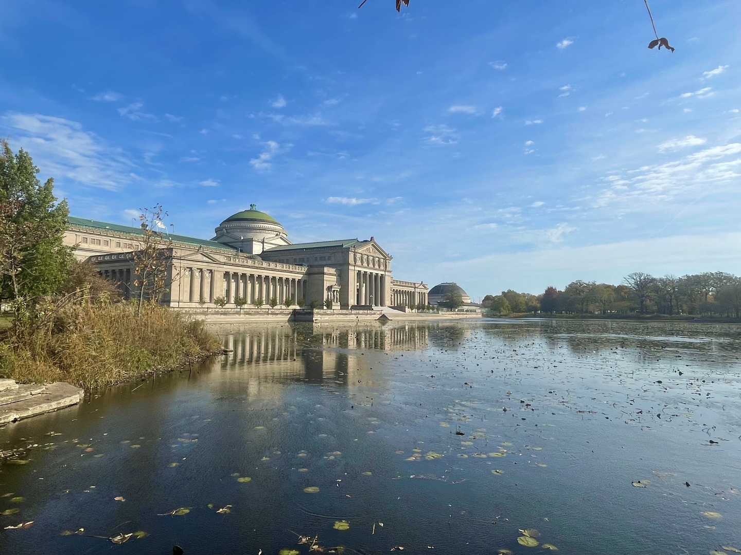 4730 South Greenwood Avenue Chicago IL 60615