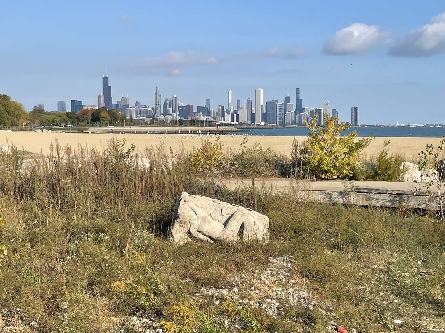 4730 South Greenwood Avenue Chicago IL 60615