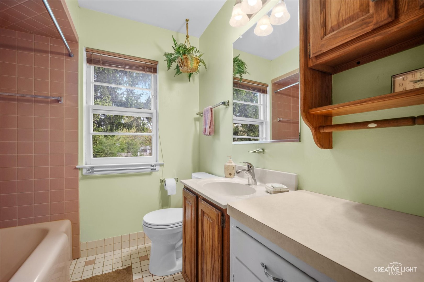 313 East Morningside Avenue Lombard IL 60148