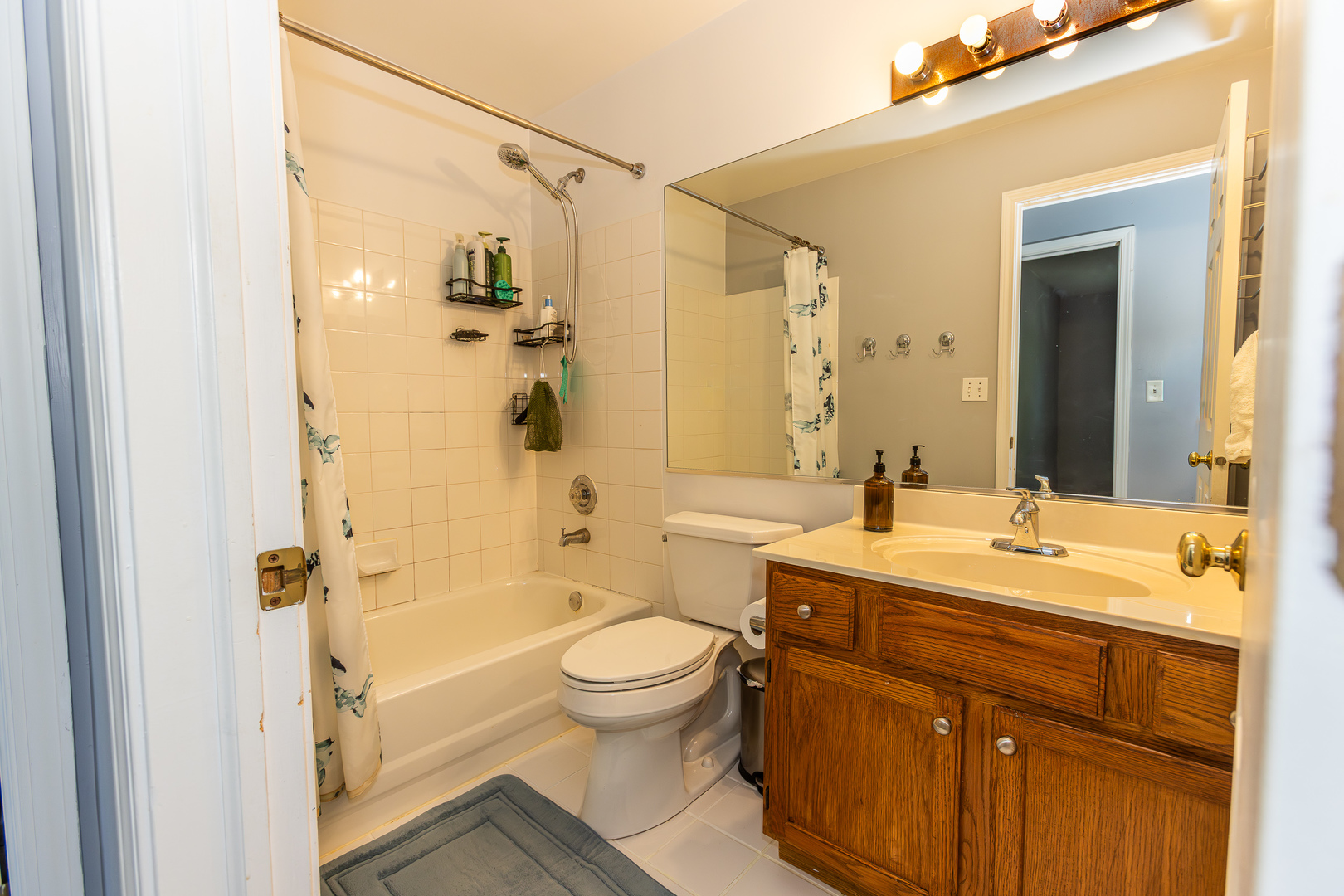 3275 Grafton Lane Aurora IL 60502