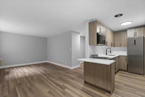 541 West Oakdale Avenue Chicago IL 60657