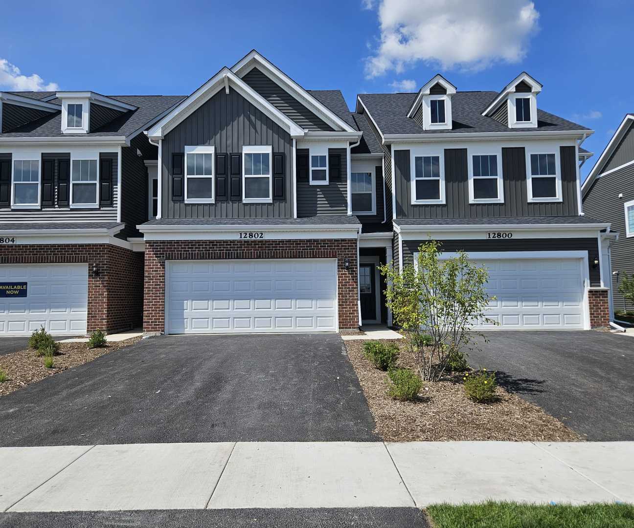12802 S Nicholas Drive Plainfield IL 60585
