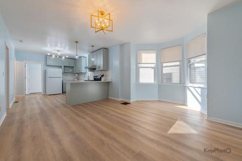 2821 South Emerald Avenue Chicago IL 60616