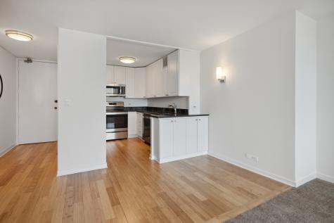 2728 North Hampden Court Chicago IL 60614
