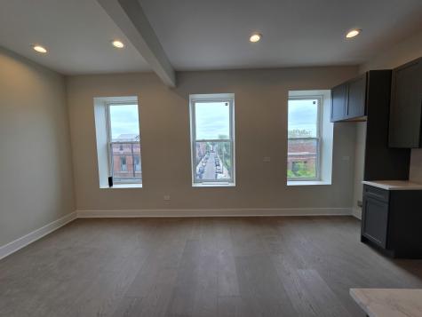 3216 South Morgan Street Chicago IL 60608