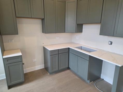 3216 South Morgan Street Chicago IL 60608