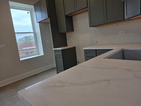 3216 South Morgan Street Chicago IL 60608