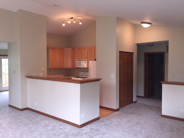 2545 Oneida Lane Naperville IL 60563