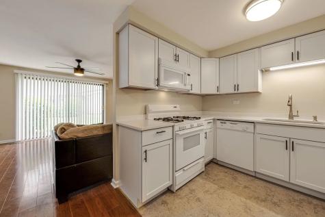 219 Kendrick Court Schaumburg IL 60194