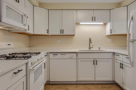219 Kendrick Court Schaumburg IL 60194