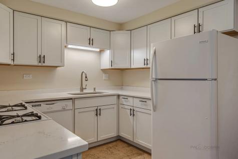 219 Kendrick Court Schaumburg IL 60194