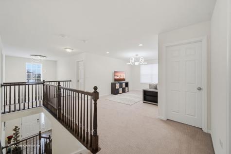 26305 W Milestone Drive Plainfield IL 60585