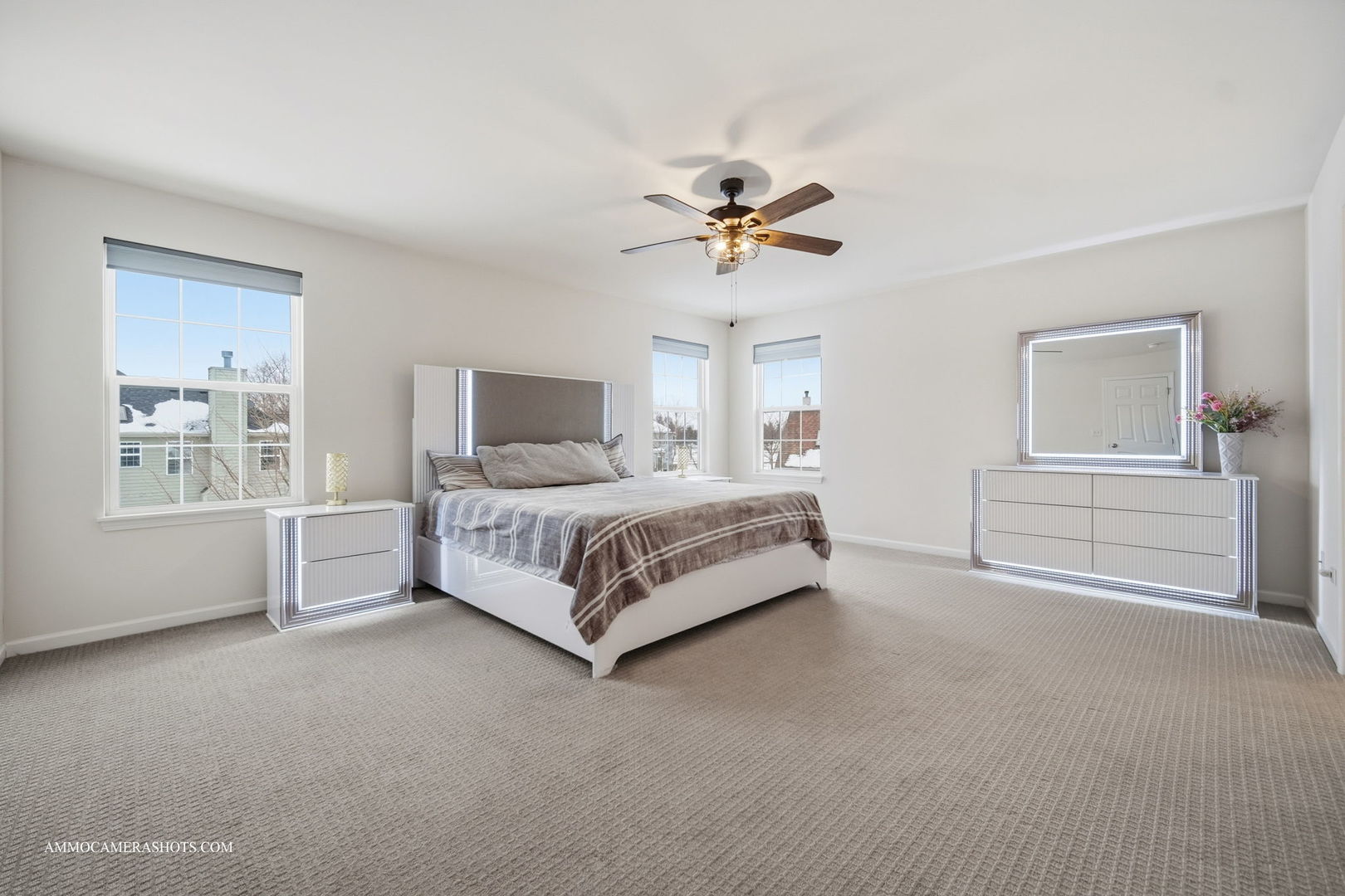 26305 W Milestone Drive Plainfield IL 60585