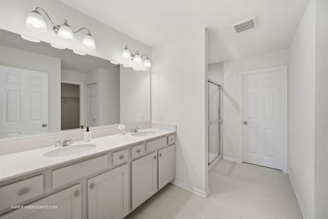 26305 W Milestone Drive Plainfield IL 60585