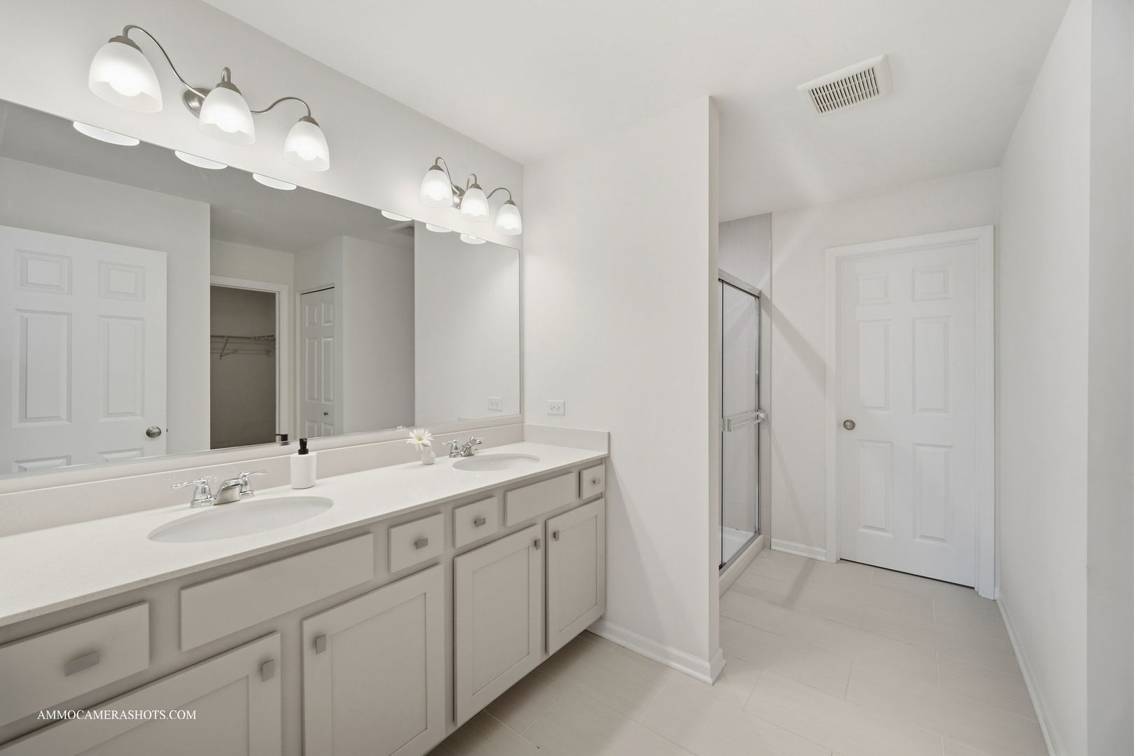 26305 W Milestone Drive Plainfield IL 60585