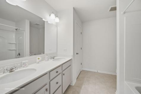 26305 W Milestone Drive Plainfield IL 60585