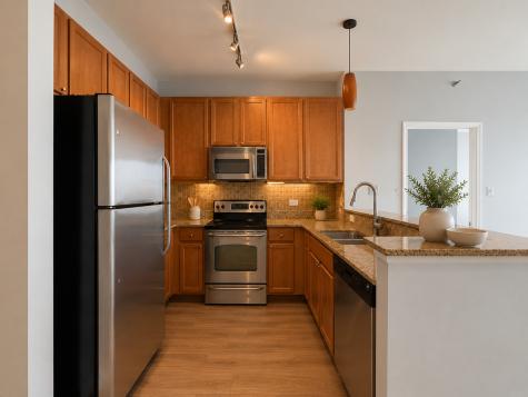1841 South Calumet Avenue Chicago IL 60616