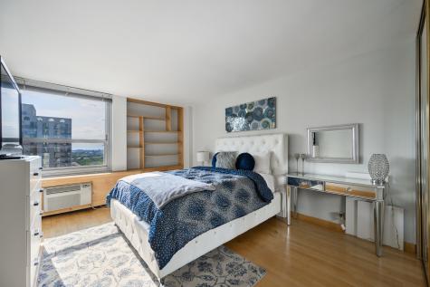 1255 North Sandburg Terrace Chicago IL 60610