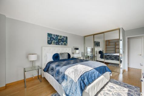 1255 North Sandburg Terrace Chicago IL 60610
