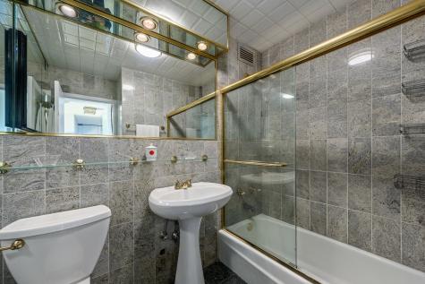 1255 North Sandburg Terrace Chicago IL 60610
