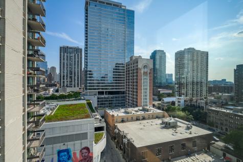 1255 North Sandburg Terrace Chicago IL 60610