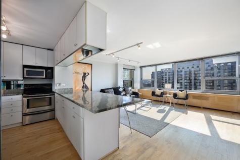 1255 North Sandburg Terrace Chicago IL 60610