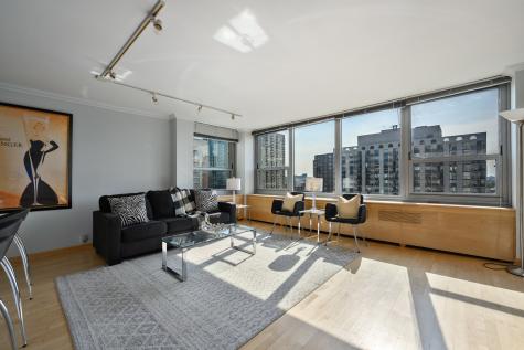 1255 North Sandburg Terrace Chicago IL 60610
