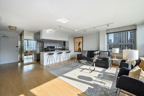 1255 North Sandburg Terrace Chicago IL 60610