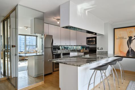 1255 North Sandburg Terrace Chicago IL 60610