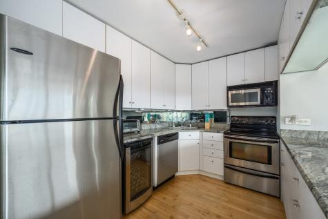 1255 North Sandburg Terrace Chicago IL 60610