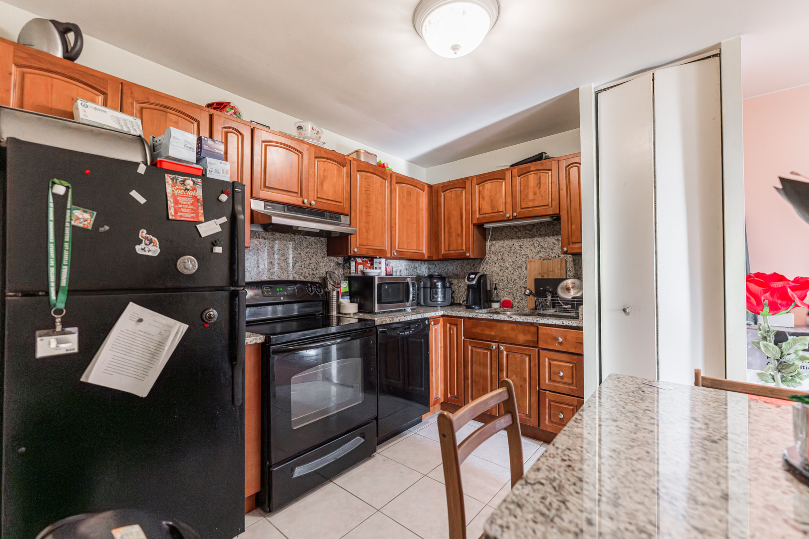 420 Walnut Creek Lane Lisle IL 60532