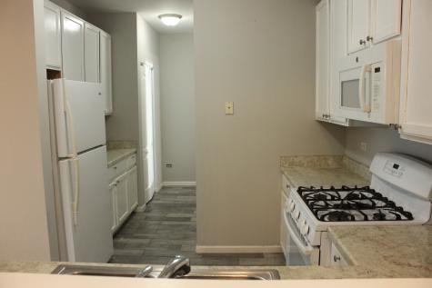 3103 Falling Waters Lane Lindenhurst IL 60046