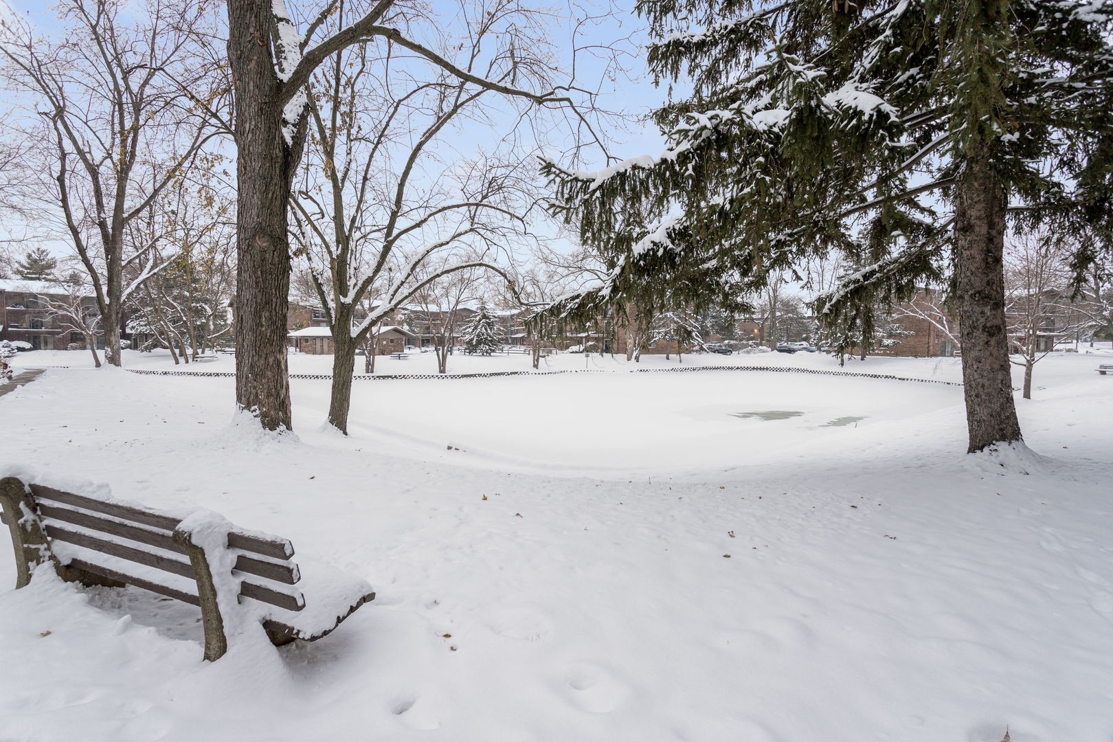 2505 Spring Street Woodridge IL 60517