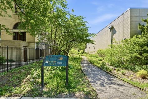 117 South Lombard Avenue Oak Park IL 60302
