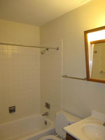 1077 Dickens Way Schaumburg IL 60193
