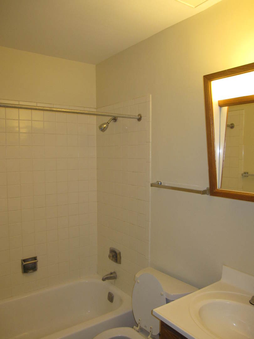 1077 Dickens Way Schaumburg IL 60193