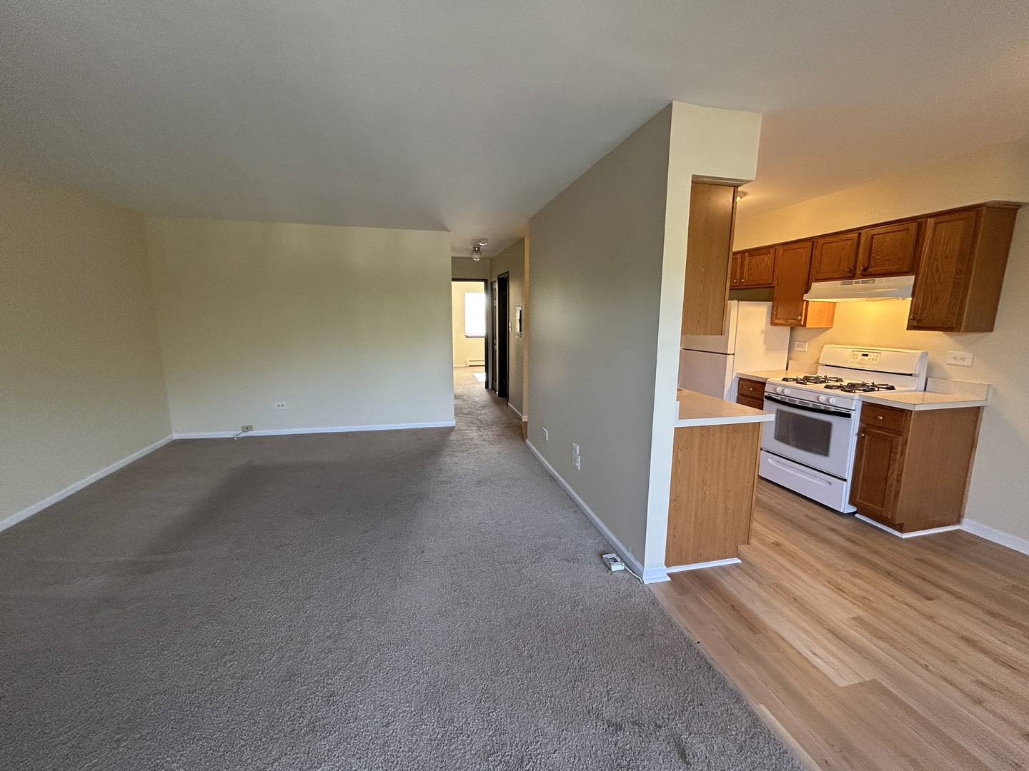1077 Dickens Way Schaumburg IL 60193
