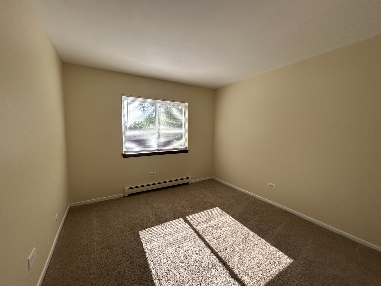 1077 Dickens Way Schaumburg IL 60193