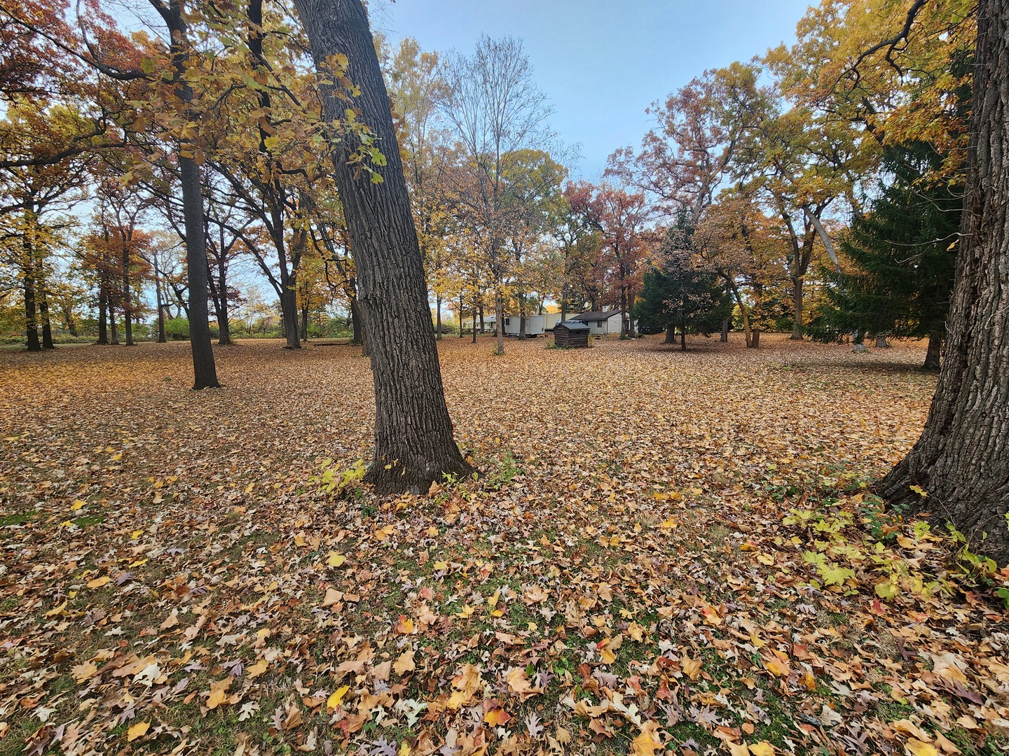 23628 Dupage Country Club Drive Plainfield IL 60586