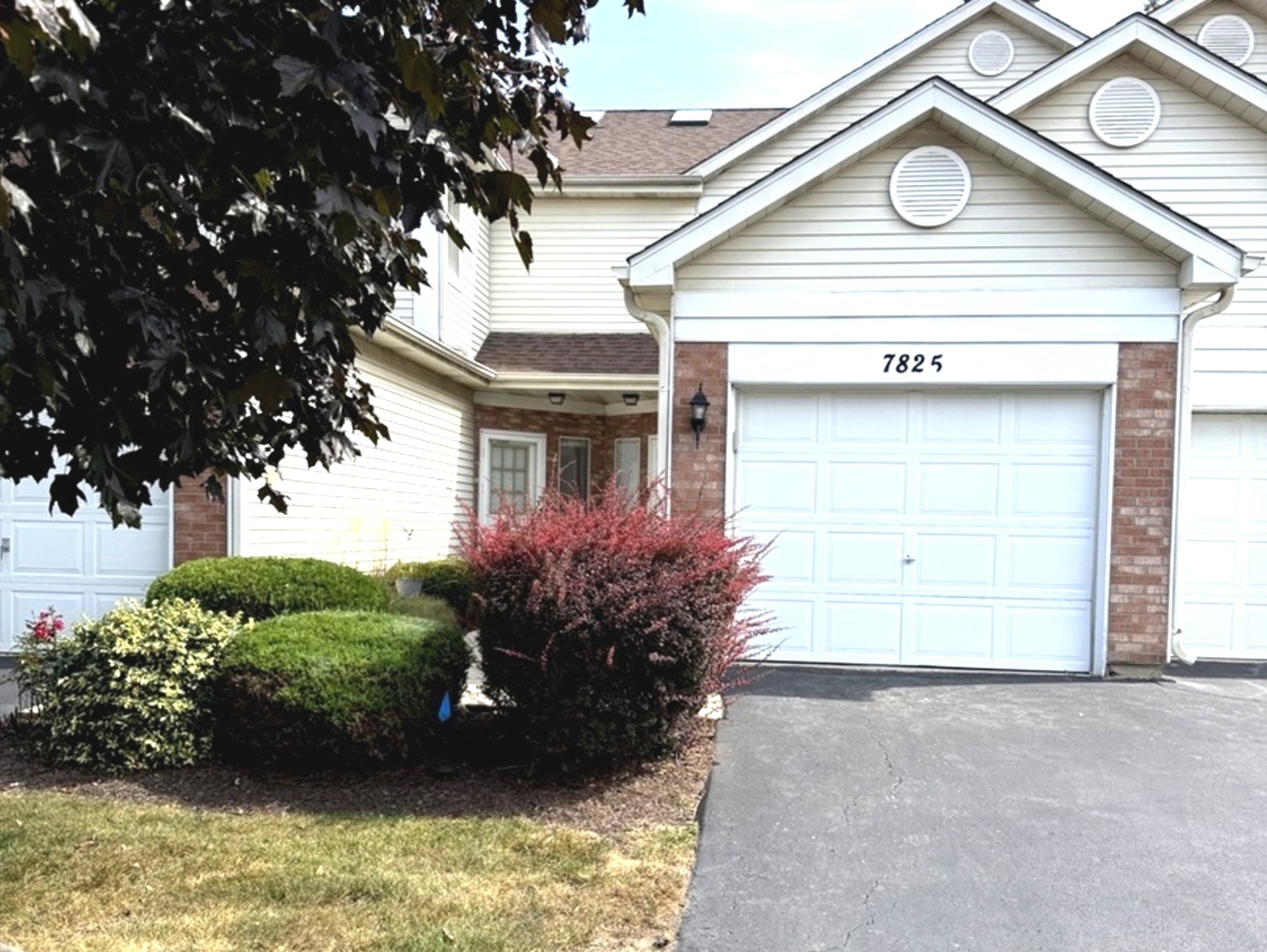 7825 Darien Lake Drive Darien IL 60561