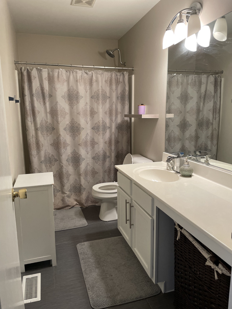 24358 Leski Lane Plainfield IL 60585