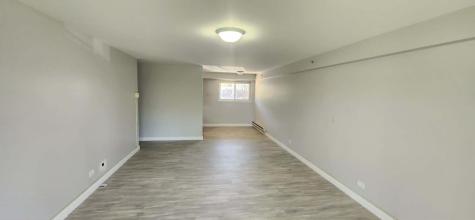 1910 West Hatherleigh Court Mount Prospect IL 60056